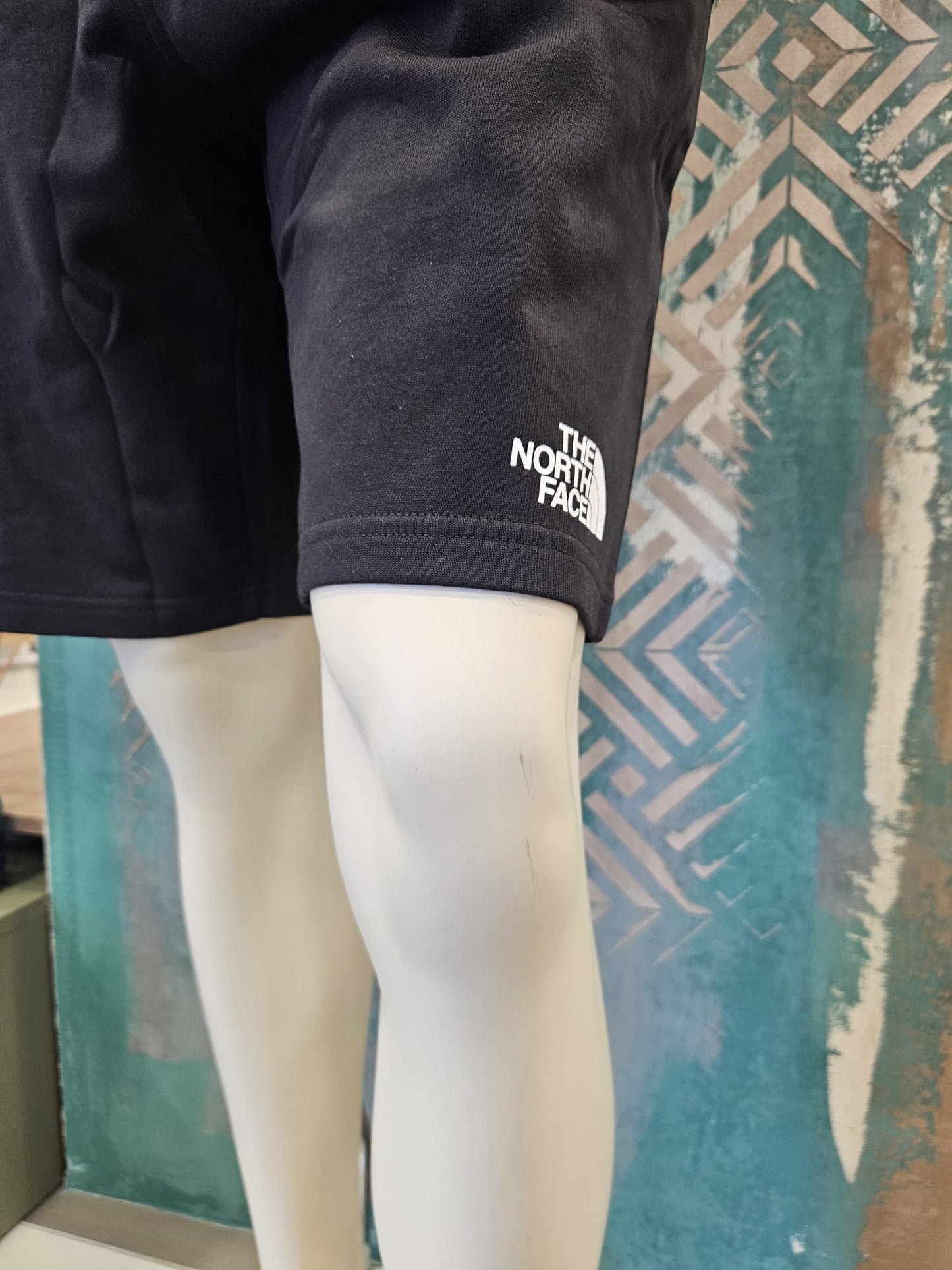 North Face Men's Shorts